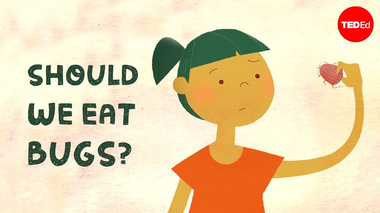 Should we eat bugs? – Emma Bryce