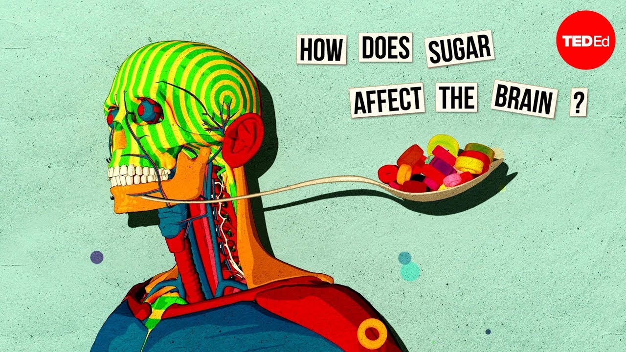 How sugar affects the brain – Nicole Avena