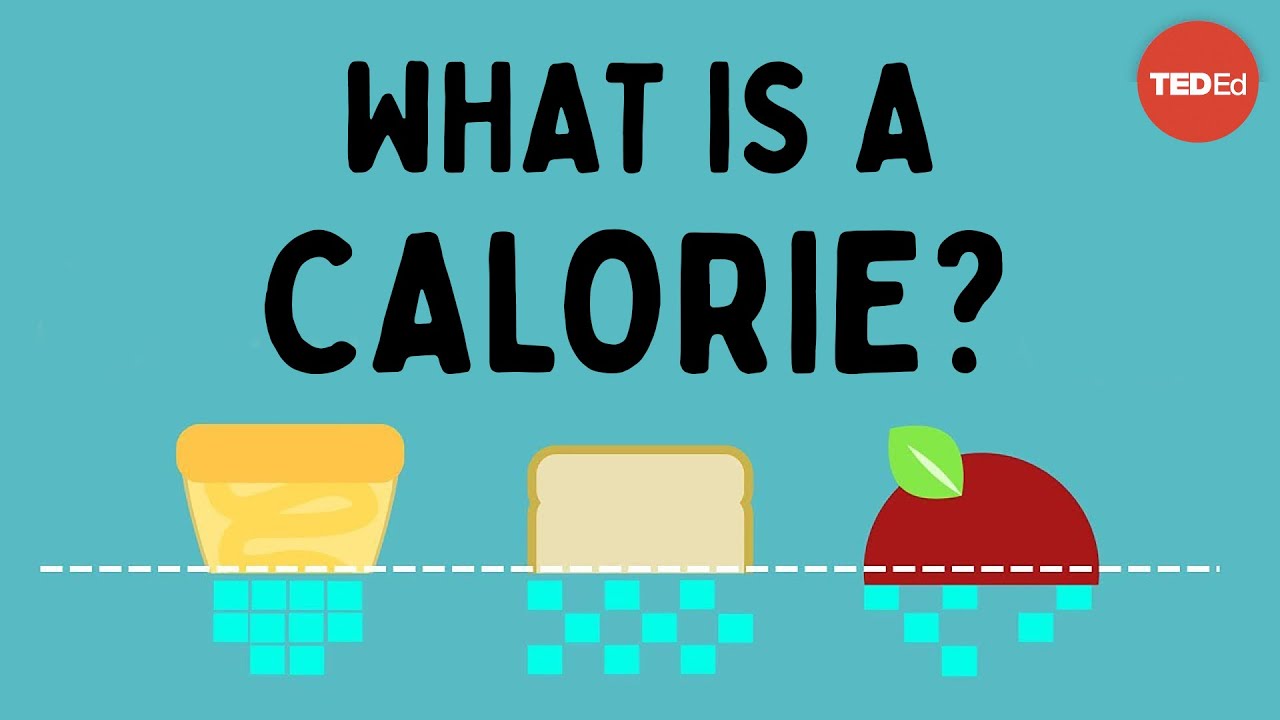 What is a calorie? – Emma Bryce