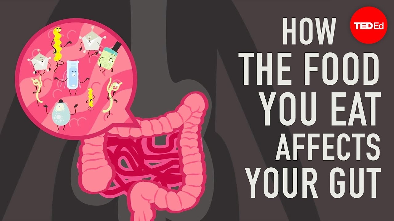 How the food you eat affects your gut – Shilpa Ravella